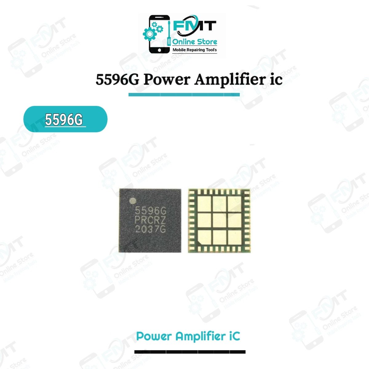 5596G Power Amplifier iC
